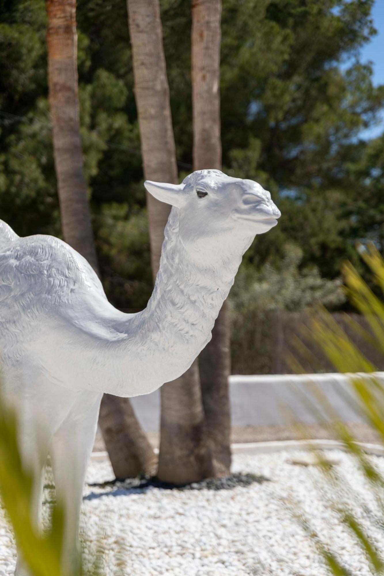 Villa Nivaria Sant Jordi de ses Salines Bagian luar foto